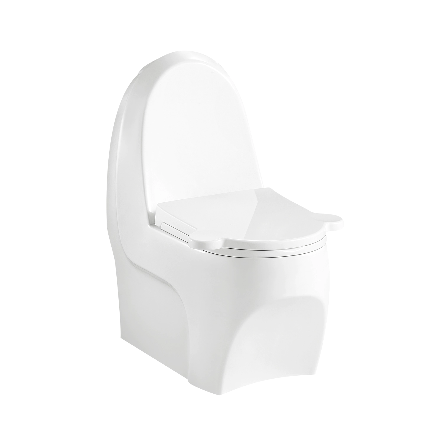 PREMIUM 100 wall-mounted washdown toilet SET with mounting